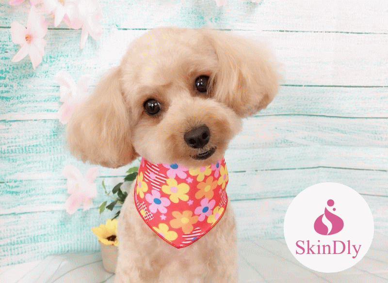 犬用シャンプー低刺激skindly スキンドリー